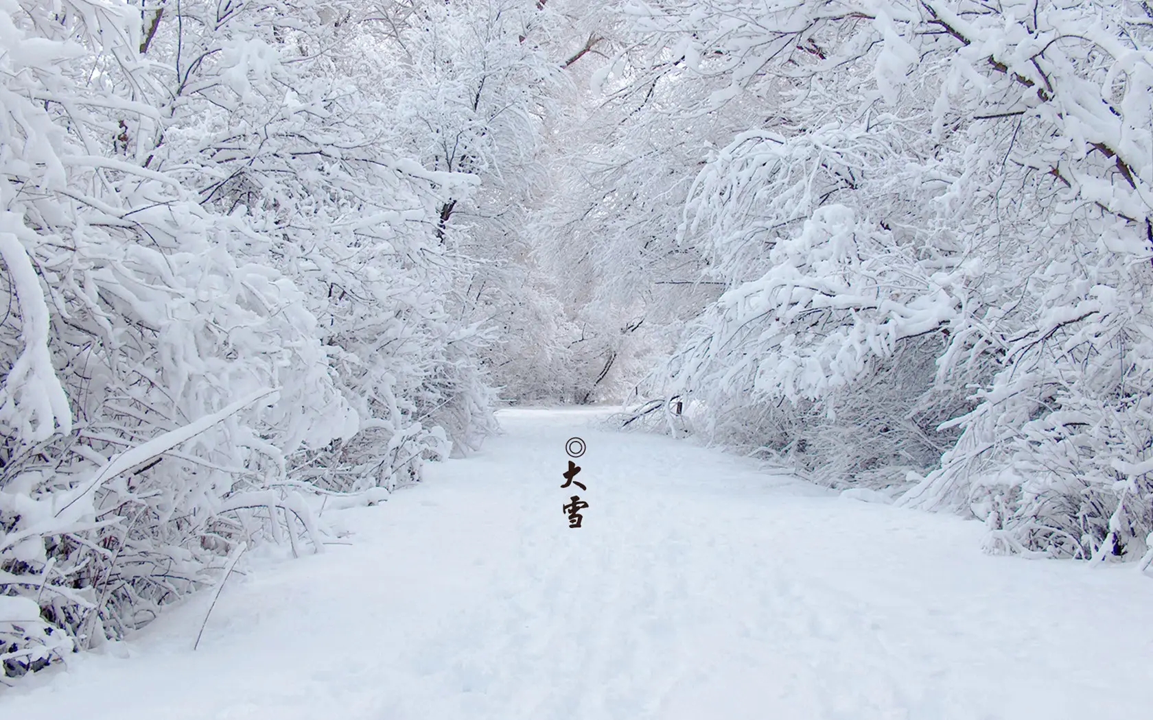 大雪（xuě）